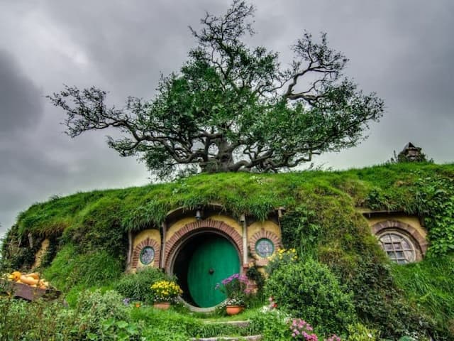 Hobbiton & Rotorua Tour (including Te Puia)